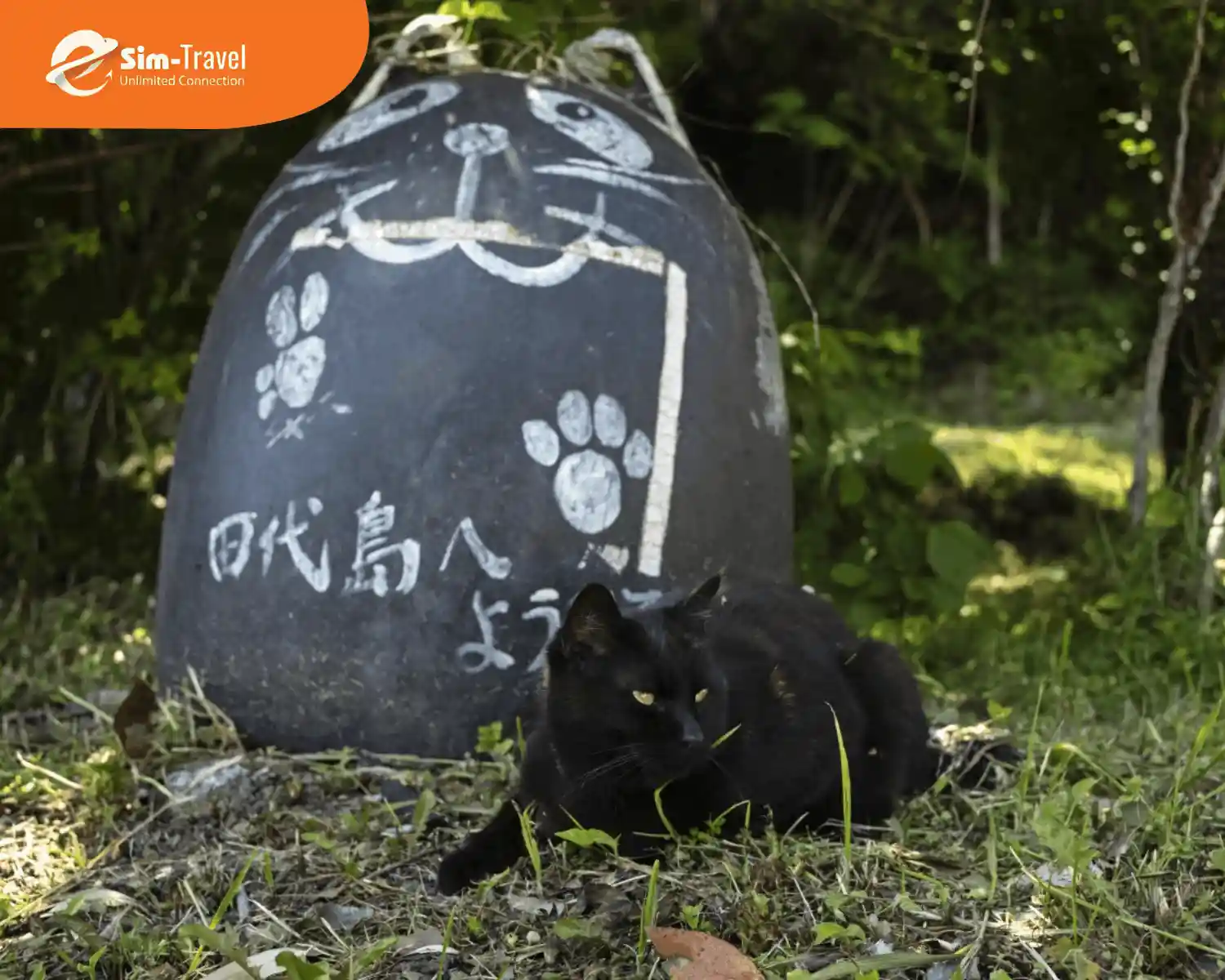 “Cư dân” mèo dễ thương, hiền hoà