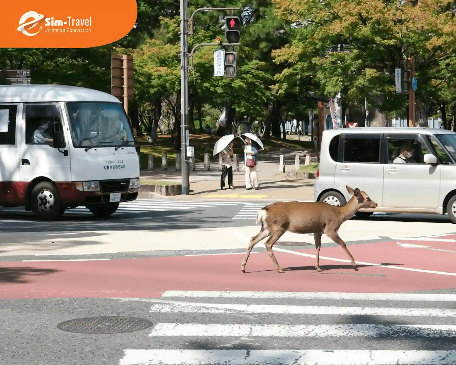 Di chuyển ở Nara dễ dàng, nhanh chóng với xe bus, taxi