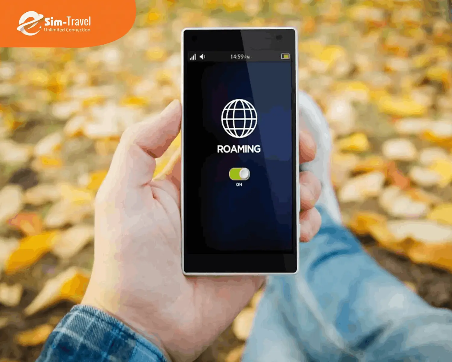 Nên dùng sim du lịch hay roaming quốc tế?